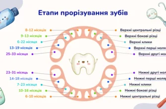 До скількох років триває ріст зубів: що важливо знати про здоров’я ротової порожнини