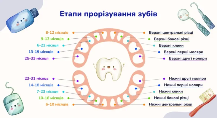 До скількох років триває ріст зубів: що важливо знати про здоров’я ротової порожнини