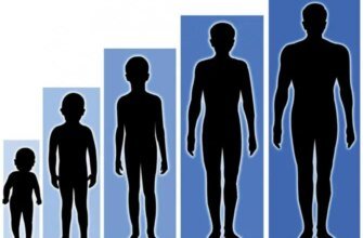 До якого віку росте людина: ключові фактори та періоди розвитку