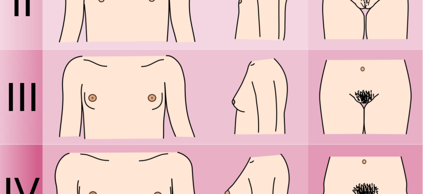 До якого віку триває ріст пеніса: ключові етапи та фактори розвитку До якого віку триває ріст пеніса: ключові етапи та фактори розвитку