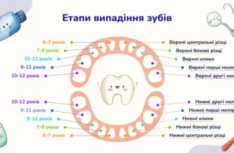До якого віку випадають молочні зуби: важливі етапи розвитку дитини