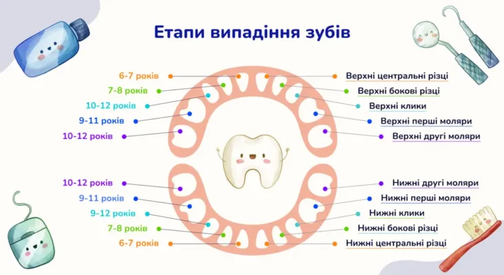 До якого віку випадають молочні зуби: важливі етапи розвитку дитини До якого віку випадають молочні зуби: важливі етапи розвитку дитини