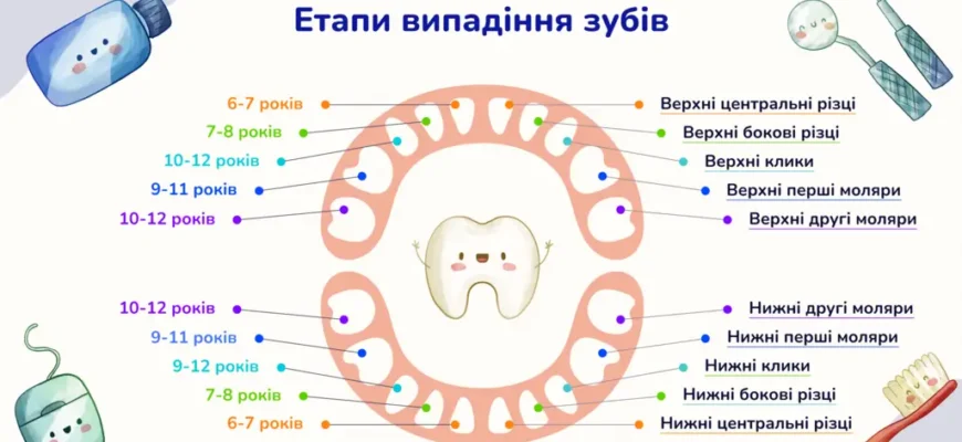 До якого віку випадають молочні зуби: важливі етапи розвитку дитини