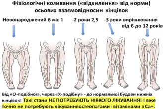 До якого віку зростає нога: ключові фактори і стадії розвитку