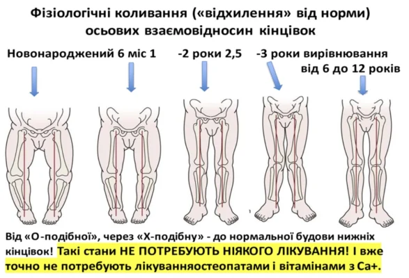 До якого віку зростає нога: ключові фактори і стадії розвитку