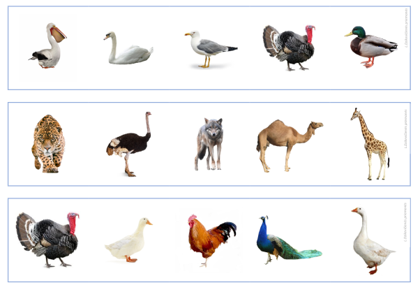 Розвиваючі ігри та вправи для дітей з особливими потребами ?