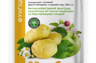 Ефективні фунгіциди для боротьби з кучерявістю листя персика Ефективні фунгіциди для боротьби з кучерявістю листя персика