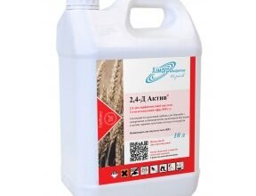 Ефективні гербіциди проти бур’янів: як вибрати найкращий засіб?