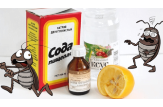 Ефективні методи боротьби з тарганами: швидкі й надійні засоби