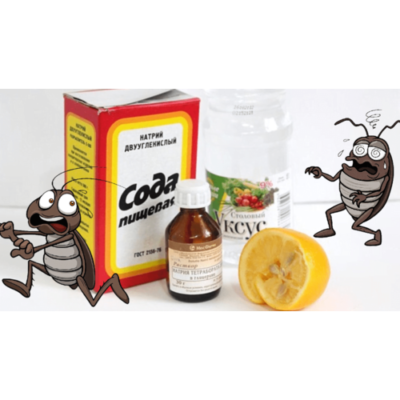 Ефективні методи боротьби з тарганами: швидкі й надійні засоби