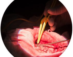 Ефективні методи лікування висипу, викликаного нервовим напруженням