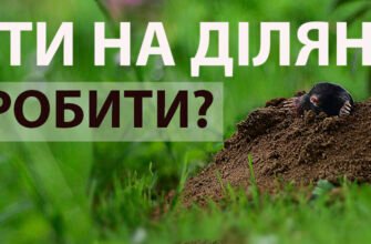 Ефективні таблетки від кротів: як позбутися шкідників швидко та легко