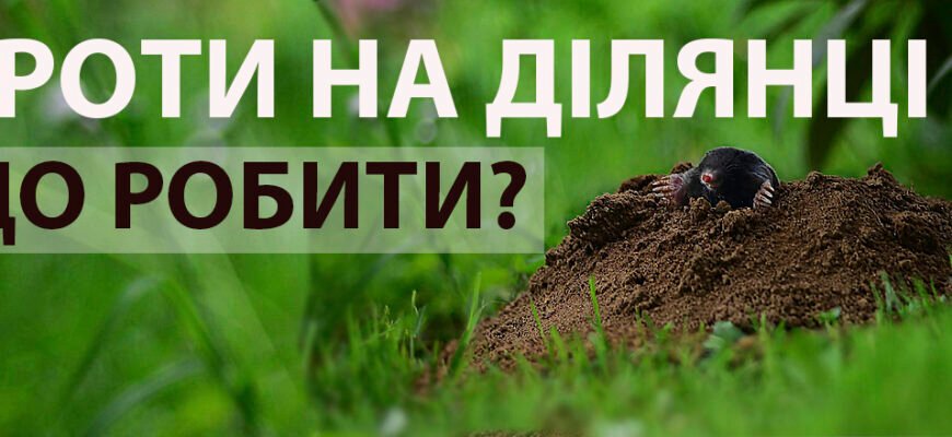 Ефективні таблетки від кротів: як позбутися шкідників швидко та легко