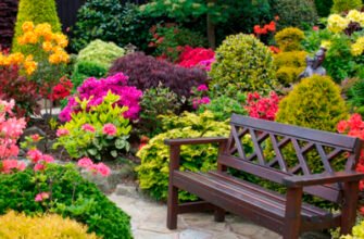 Ефективний гарден протект: надійний захист від бур’янів у вашому саду