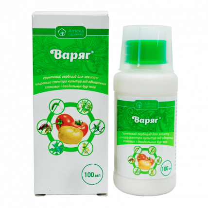 Як позбутися берізки на дачі