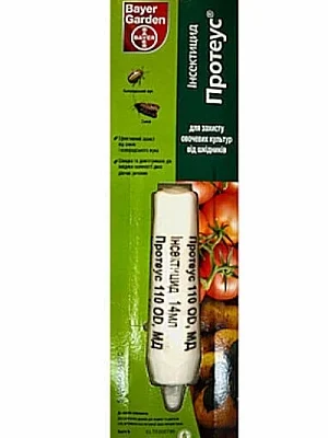 Ефективний засіб №1 від білокрилки: перевірені методи захисту рослин Ефективний засіб №1 від білокрилки: перевірені методи захисту рослин