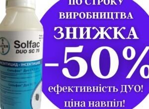 Ефективний засіб проти мух: огляд найкращих методів боротьби