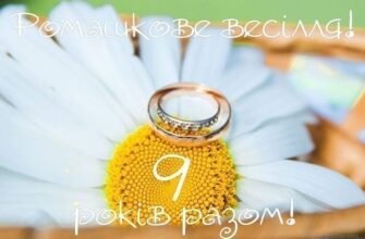 Фаянсове або ромашкове весілля: 9 років спільного життя разом