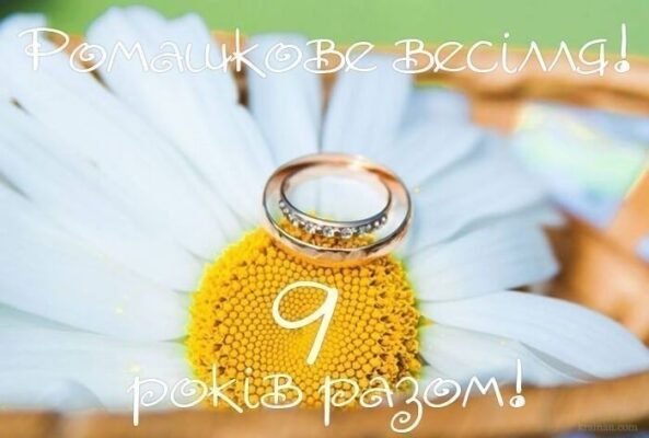 Фаянсове або ромашкове весілля: 9 років спільного життя разом Фаянсове або ромашкове весілля: 9 років спільного життя разом