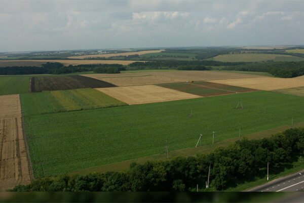 Фізичні Властивості Ґрунту: Вплив на Родючість та Охорону земель