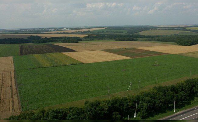 Фізичні Властивості Ґрунту: Вплив на Родючість та Охорону земель