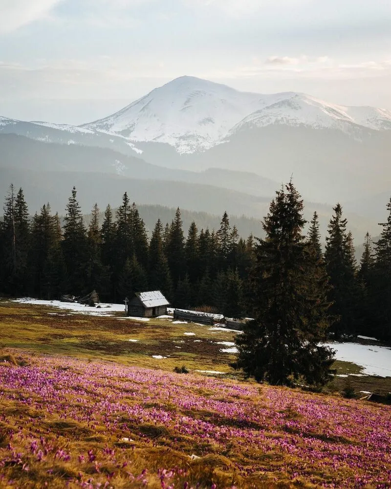 Гора Петрос – Про Україну