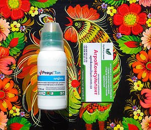 УКРАЇНСЬКИЙ ВІЛЬНИЙ УНІВЕРСИТЕТ Факультет Державних Економічних Нау