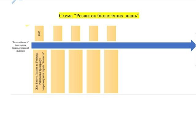 Хто вперше запропонував термін екологія: історія і значення слова?