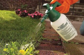 Інструкція ефективного використання «Напалму» для знищення бур’янів