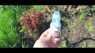 Інструкція: Як ефективно використовувати Твікс для боротьби з шкідниками