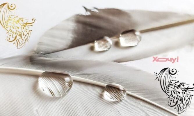 Інтригуючі тести для дорослих: виявте свої приховані таланти!