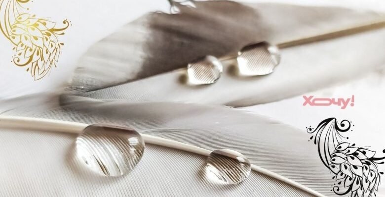 Інтригуючі тести для дорослих: виявте свої приховані таланти! Інтригуючі тести для дорослих: виявте свої приховані таланти!