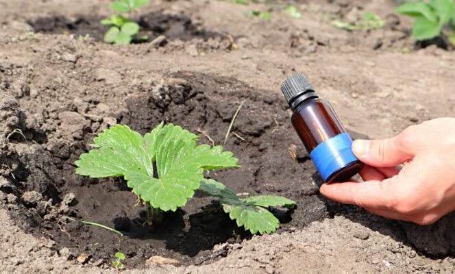 Йод: властивості, користь для здоров’я та застосування в житті