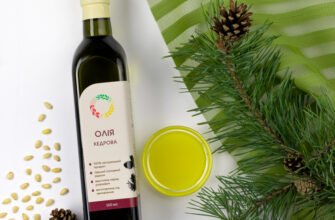 Кедрова олія: цілющі властивості та переваги для здоров’я