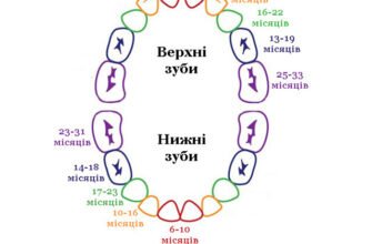 Кількість зубів у дитини 5 років: скільки їх має бути?