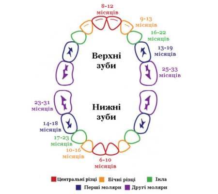 Кількість зубів у дитини 5 років: скільки їх має бути?