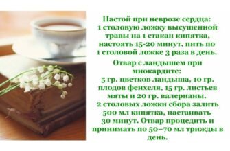 Конвалія: лікувальні властивості та способи застосування для здоров’я