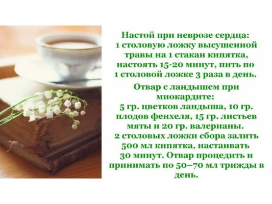 Конвалія: лікувальні властивості та способи застосування для здоров’я