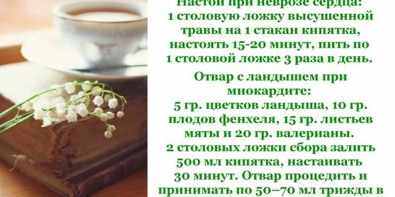 Конвалія: лікувальні властивості та способи застосування для здоров’я Конвалія: лікувальні властивості та способи застосування для здоров’я
