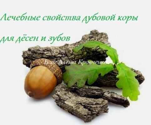 Кора дуба: властивості та користь для здоров’я та догляду за тілом