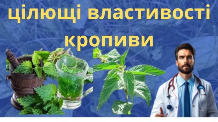 Корінь кропиви: лікувальні властивості і застосування для здоров’я