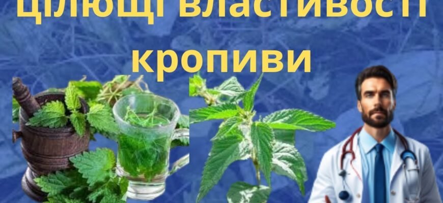 Корінь кропиви: лікувальні властивості і застосування для здоров’я Корінь кропиви: лікувальні властивості і застосування для здоров’я