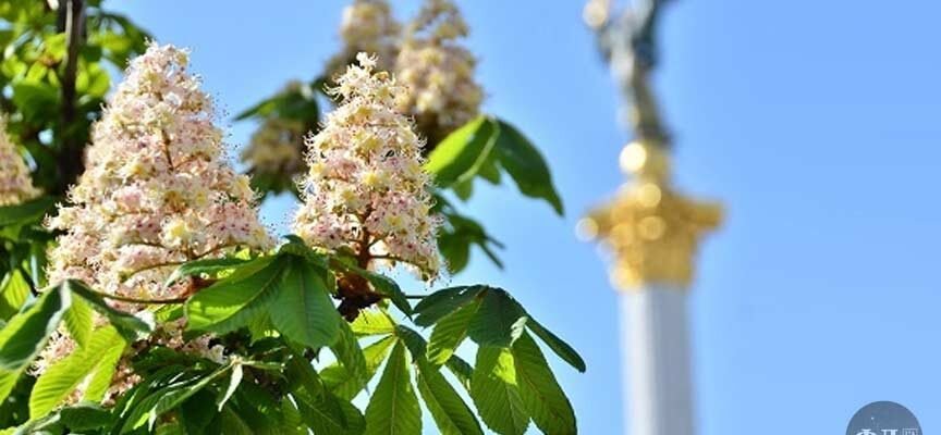 Короткі цікаві факти про Київ: історія, архітектура та культура міста Короткі цікаві факти про Київ: історія, архітектура та культура міста