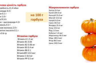 Корисні властивості гарбуза: від харчової цінності до медичних переваг