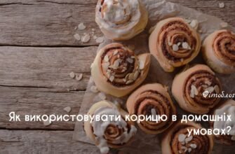 Користь кориці: Лікувальні властивості та застосування для здоров’я