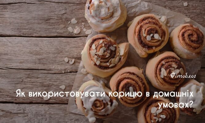 Користь кориці: Лікувальні властивості та застосування для здоров’я