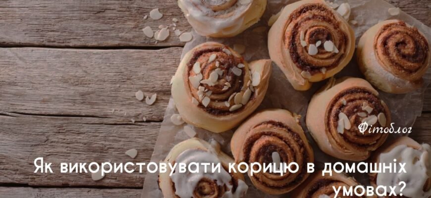 Користь кориці: Лікувальні властивості та застосування для здоров’я