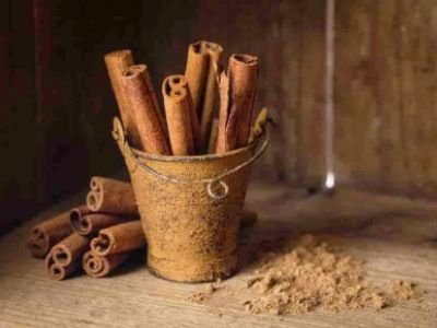 Кориця — що це за прянощі, користь і шкода - FitoBlog