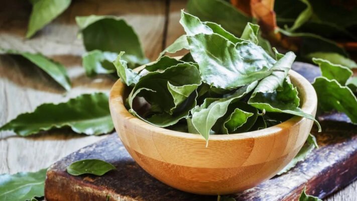 Лавровий лист: вражаючі лікувальні властивості для вашого здоров’я