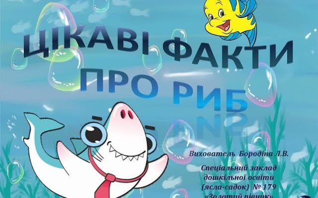 Летючі риби: цікаві факти та неймовірні адаптації до польоту Летючі риби: цікаві факти та неймовірні адаптації до польоту